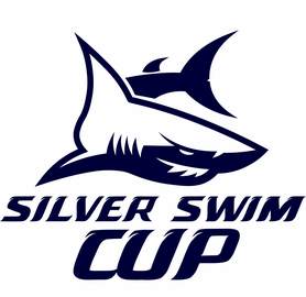 Заплыв 1000м - Silver Swim Cup #3