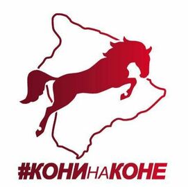 #конинаконе