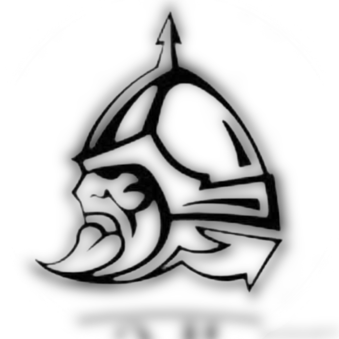 Спортивный клуб единоборств "ВОИН"