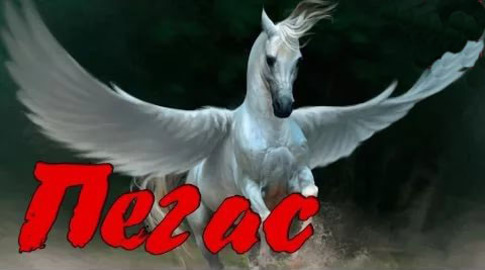 Клуб любителей бега "ПЕГАС"