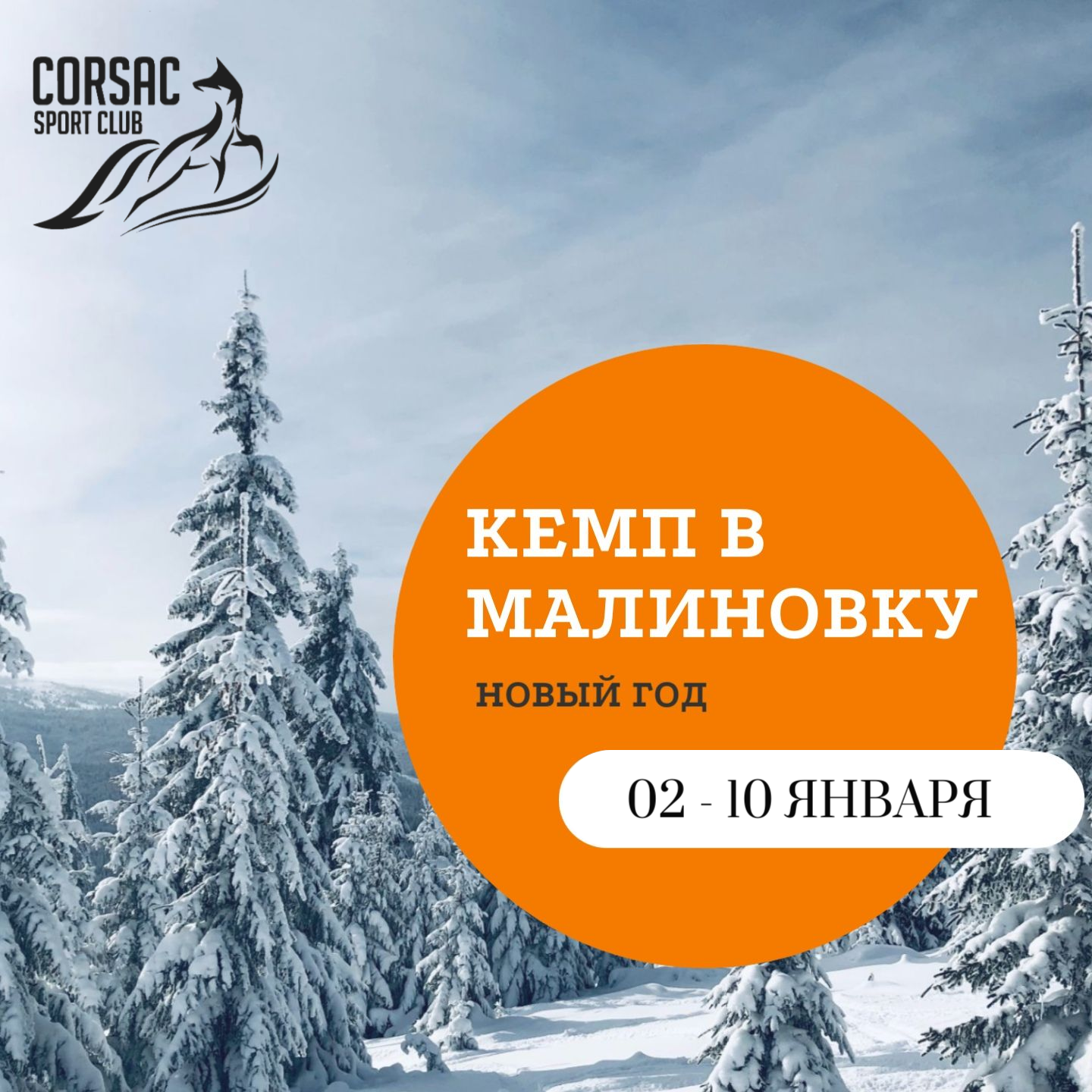 Лыжный новогодний кемп в Малиновке