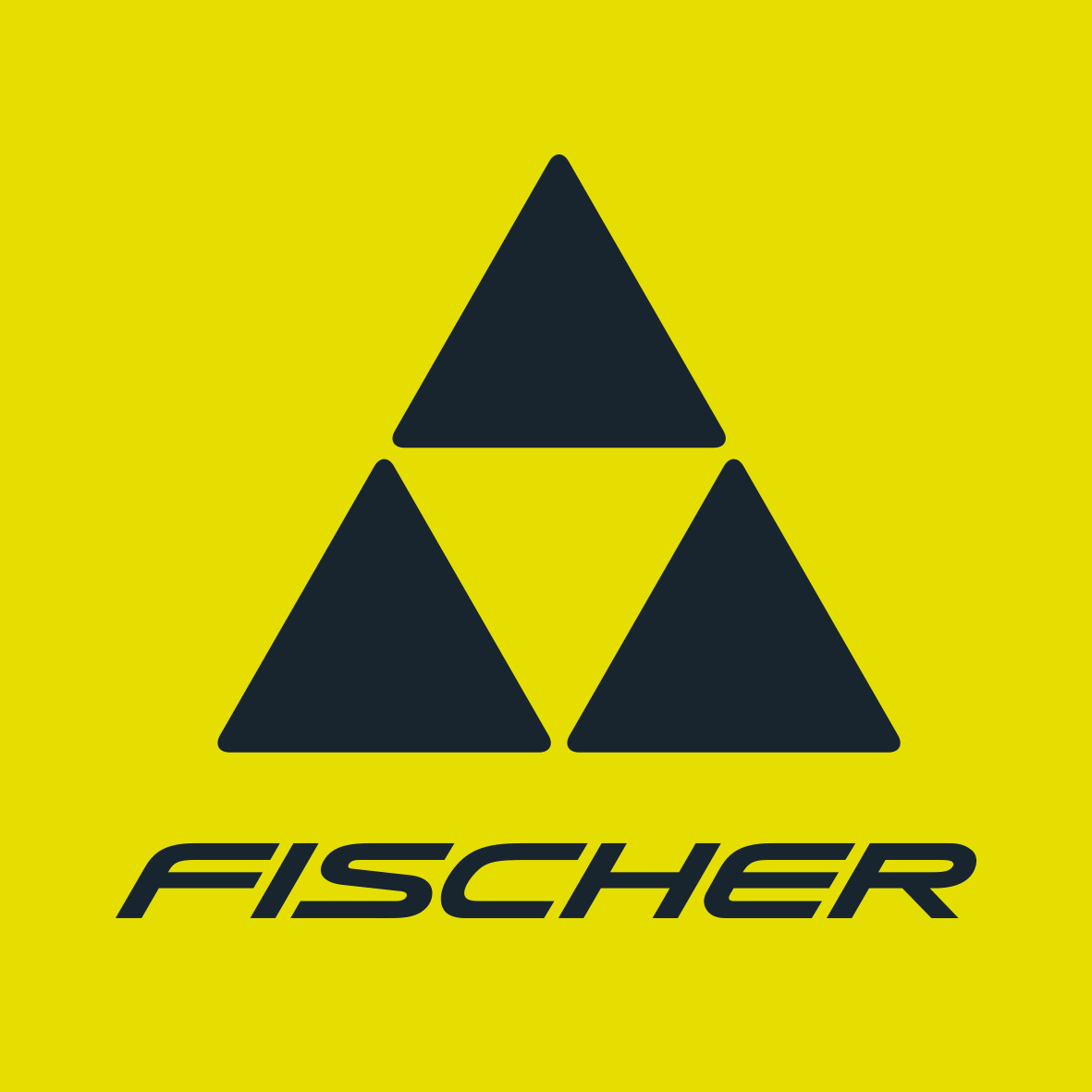 FISCHER Skiletics на Воробьёвых Горах (07.08)