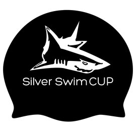 заплыв 1000м - Silver Swim Cup