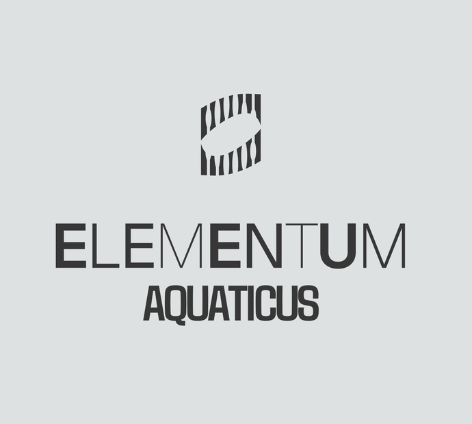 Пробная тренировка по плаванию для взрослых в Лужниках