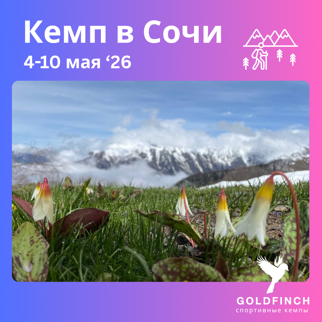 Кемп в Сочи (хайкинг и офп)  с Goldfinch Club