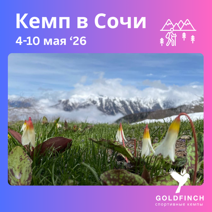 Кемп в Сочи (хайкинг и офп) с Goldfinch Club