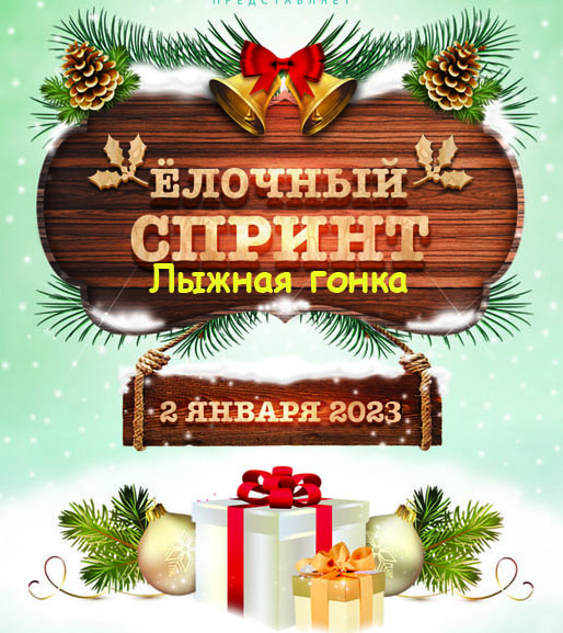 Лыжная гонка «Ёлочный спринт» в Ромашково 2023