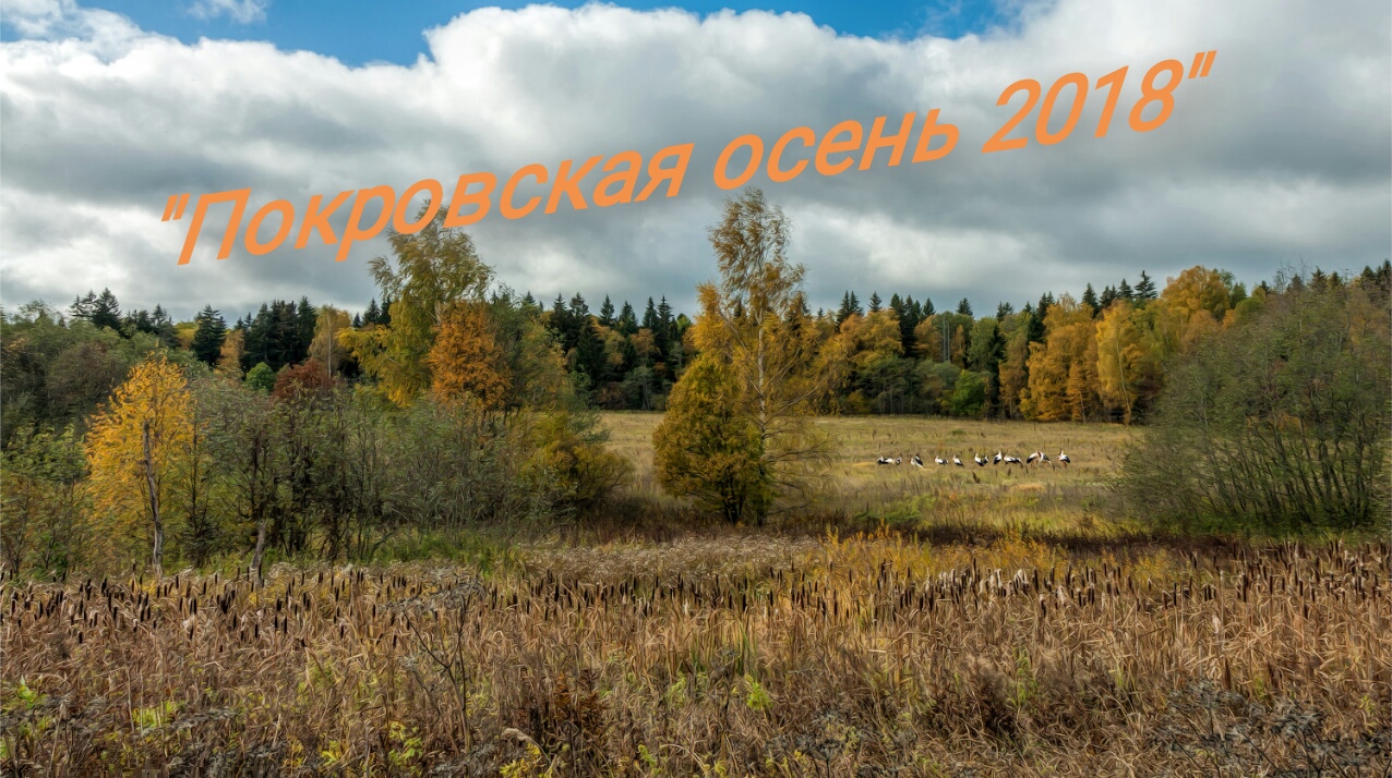Кросс-кантри велогонка "Покровская осень 2018". Закрытие велосезона.