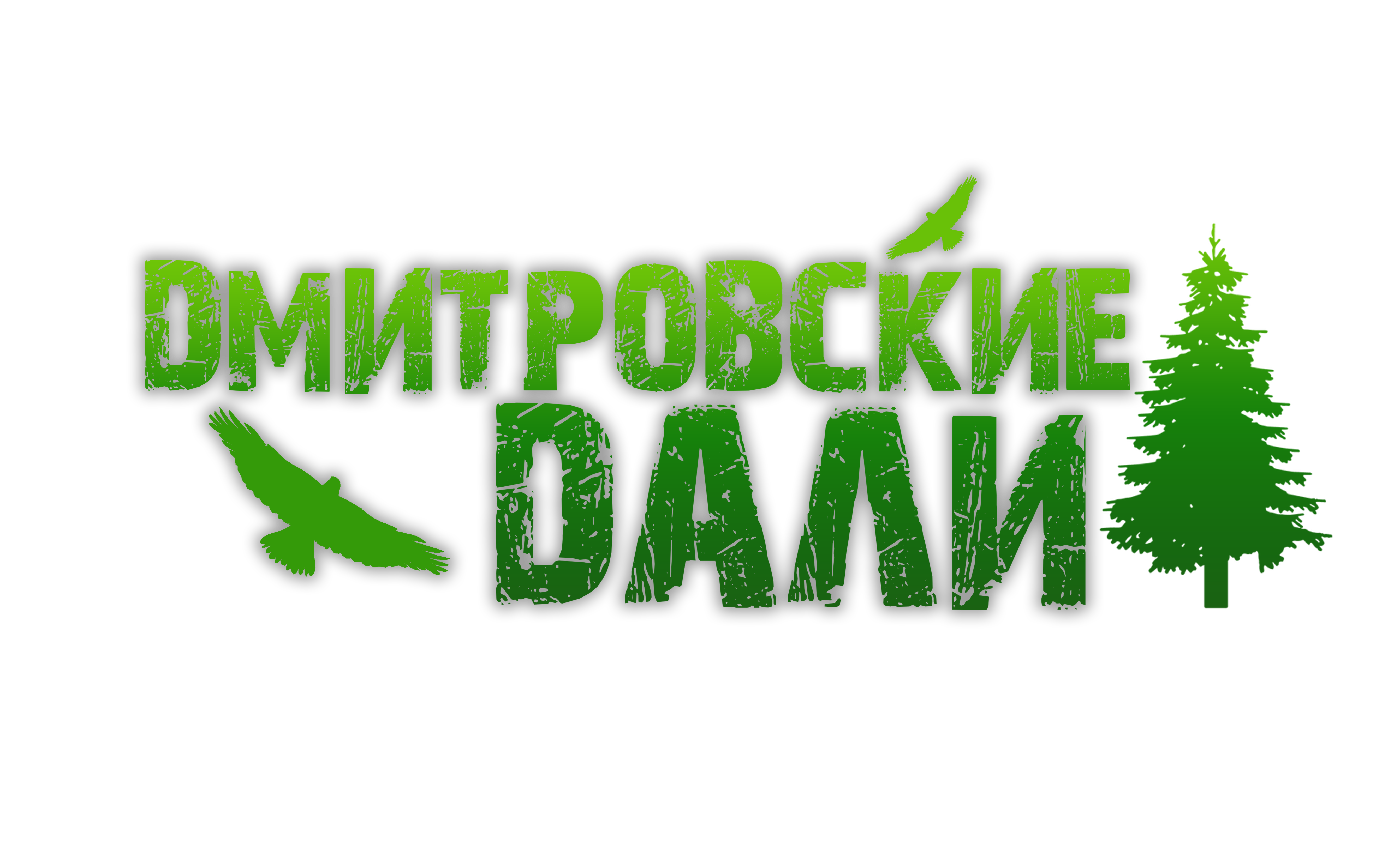 "Дмитровские дали" - 5й этап кубка по трейлраннингу "Неоткрытые Края"