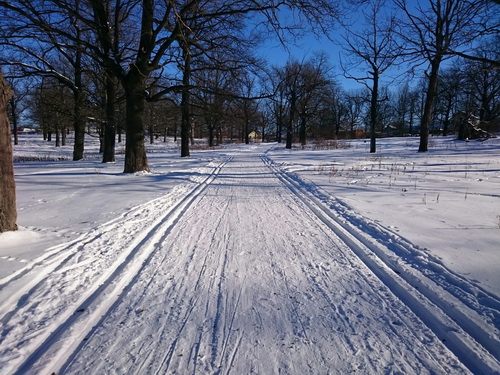 Первенство Малоярославца по лыжным гонкам "Dubki Ski Race"