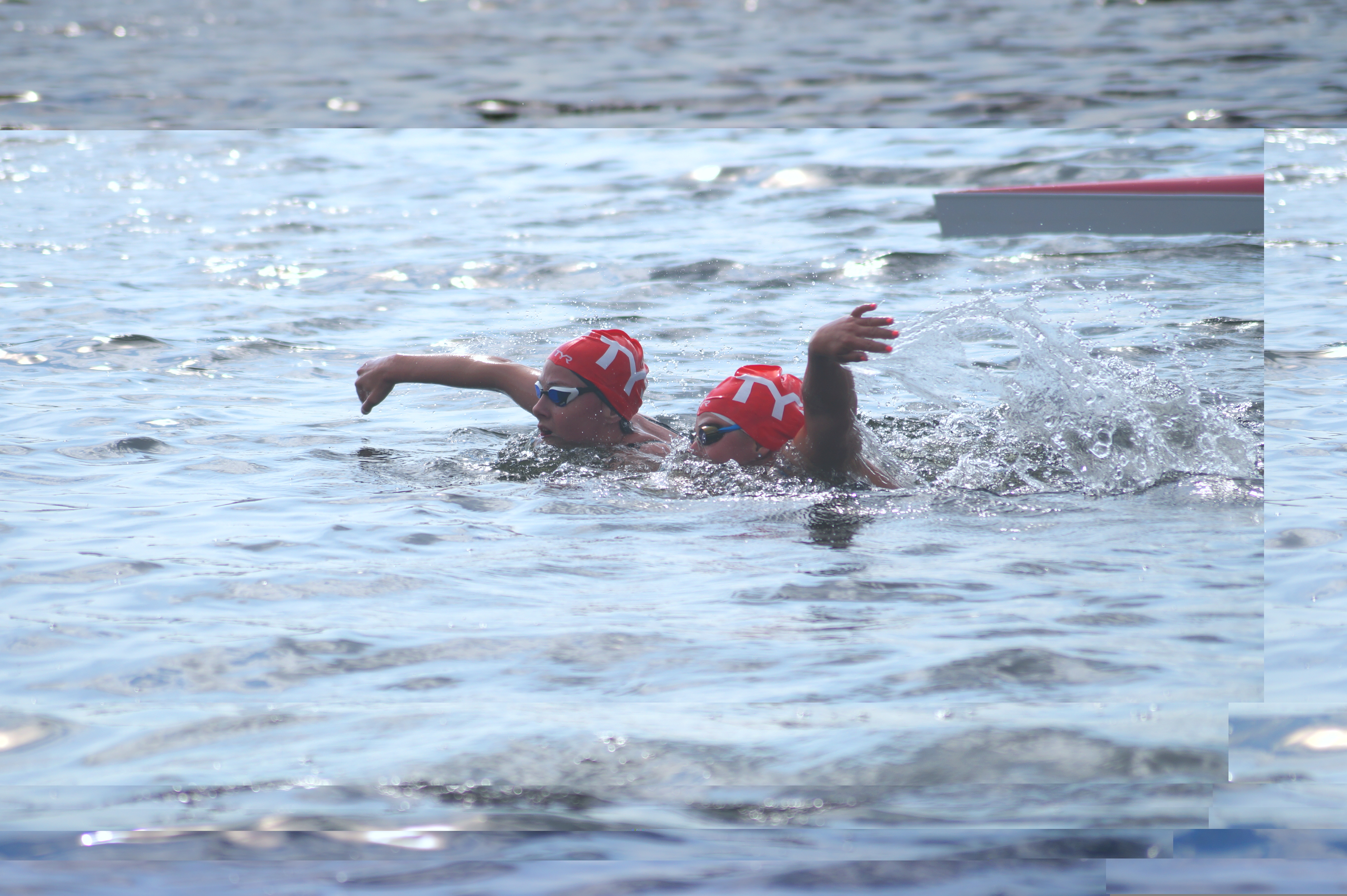 Кубок Чемпионов Open Water Мещерский