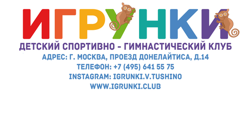 Логотип партнёра