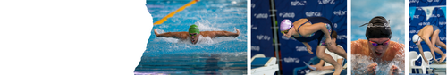 Swimcup Sprint Февраль
